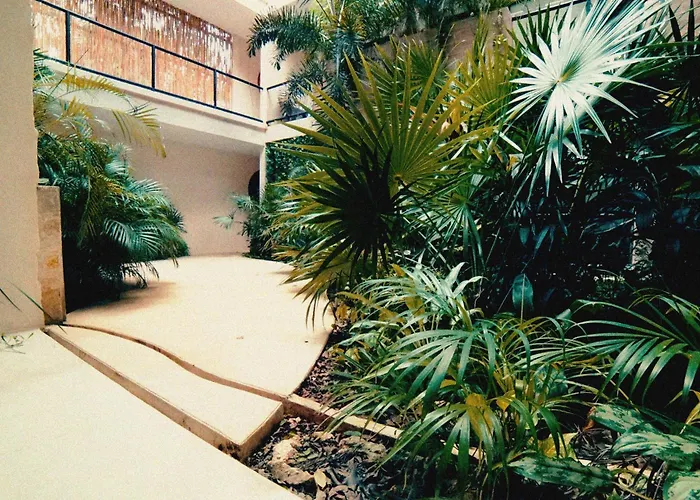 Wamai * Tulum