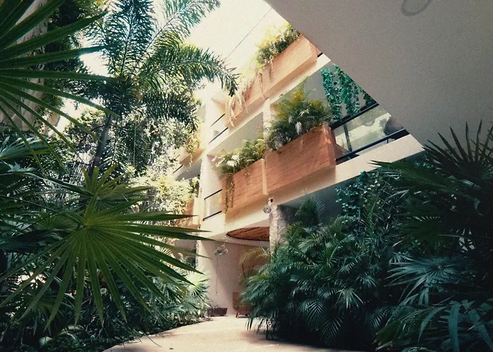 Wamai Tulum
